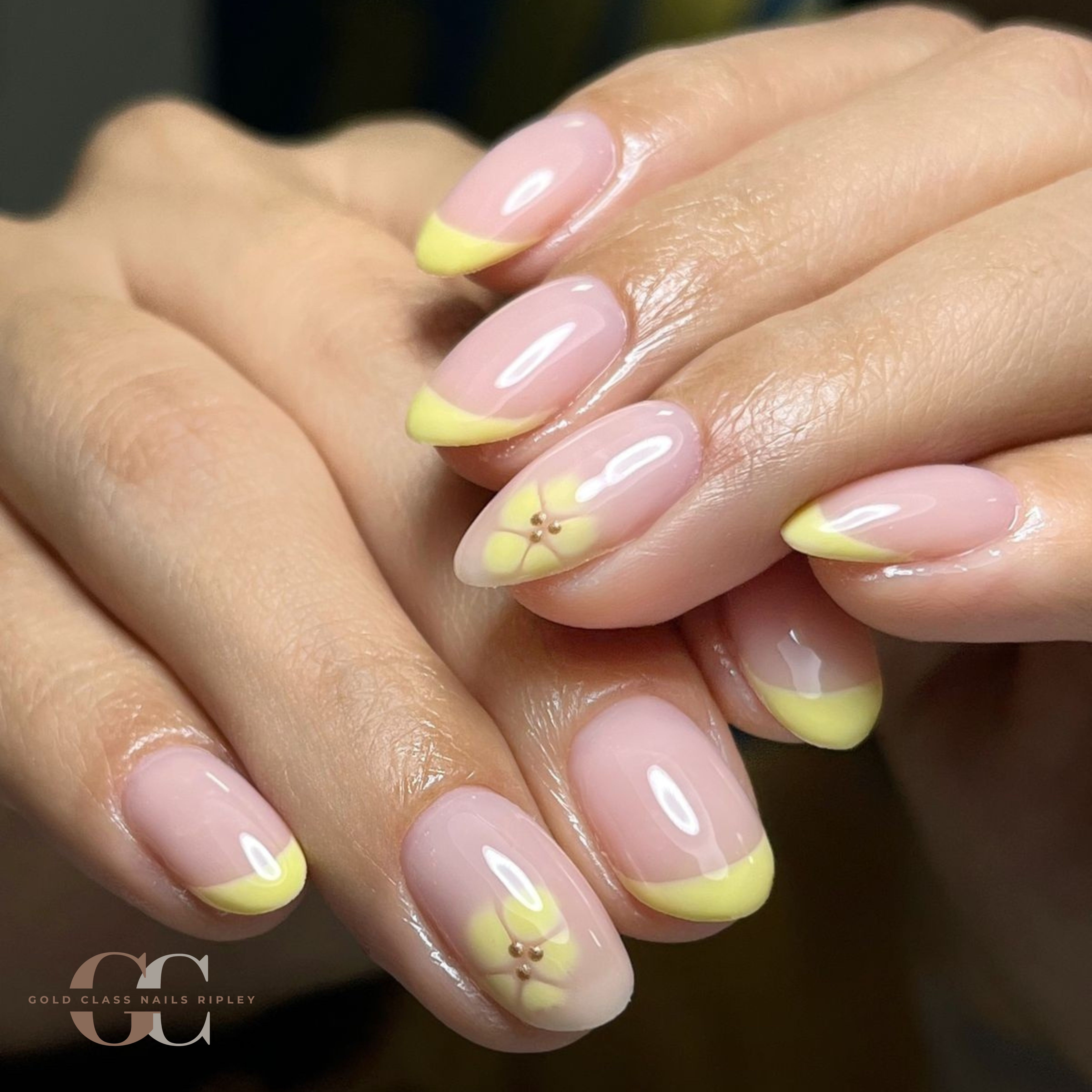 Builder Gel 